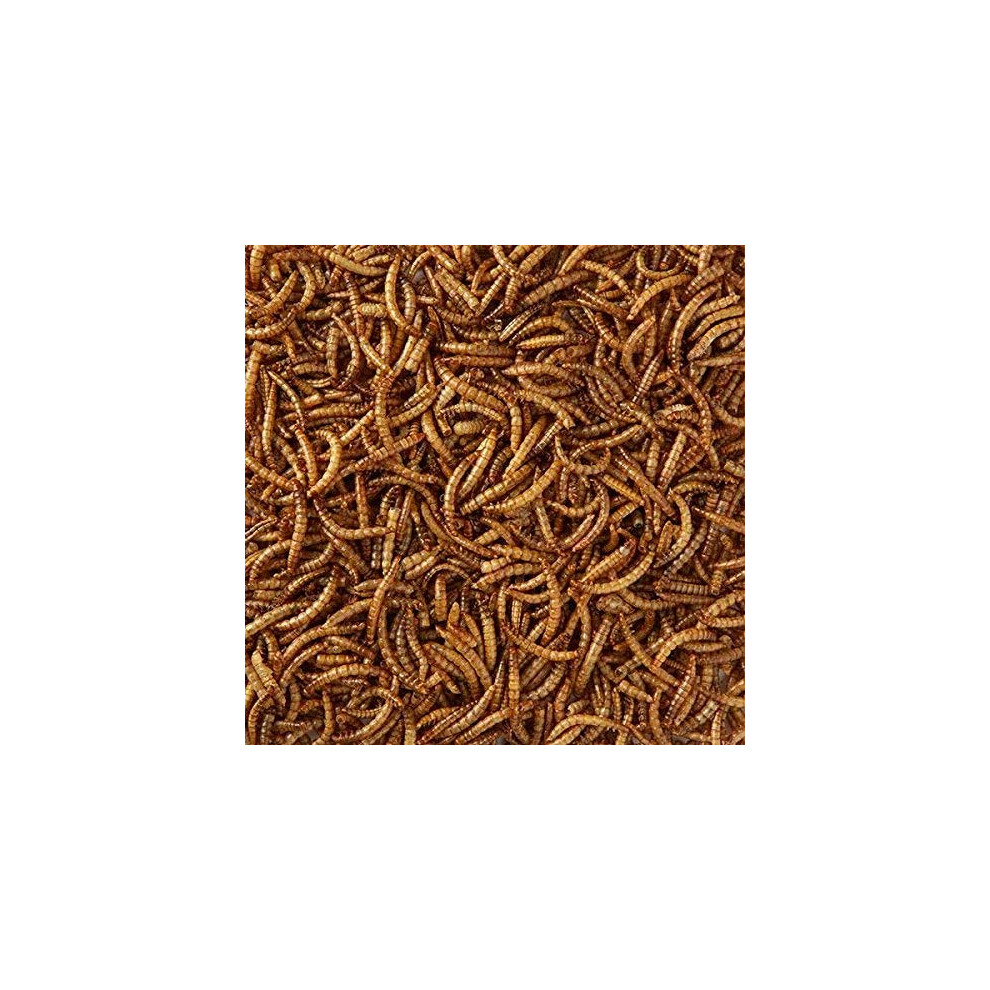 Wtimesie Maltbys Stores 4Kg Wild Bird Dried Mealworms Food