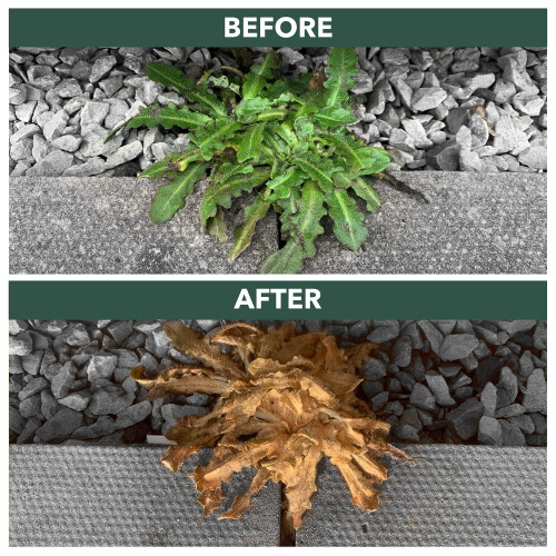 Enviro Works Weed Gone 5L Fast Acting Weedkiller Long Hose Trigger 2