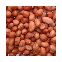 5kg Bag Wild Bird Peanuts Free Express Delivery