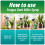 Fungus Gnat Killer Spray 200ml Organic Protection Against Sciarid 6