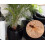 Sciarid Fly Killer Nematodes 15 Sqm 3