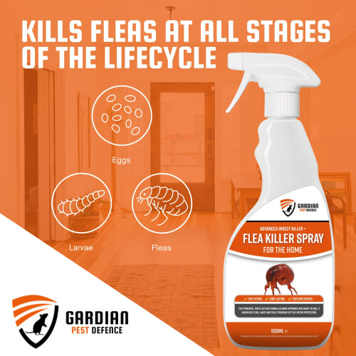 Flea Spray for the Home - 500ml Killer Advanced Fastacting and 2
