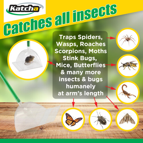 Katcha the Big Bug - Traps Em All Small Spiders Yellow Jackets Wasps 1