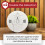 KIDDE Kidde 10SCO Combination Smoke and Carbon Monoxide Alarm with Voice 6
