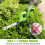 Workpro 2 in 1 7.2V Cordless Hedge Trimmer Grass Shear with Lithiumion 4