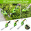 Workpro 2 in 1 7.2V Cordless Hedge Trimmer Grass Shear with Lithiumion 2