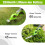 Workpro 2 in 1 7.2V Cordless Hedge Trimmer Grass Shear with Lithiumion 3