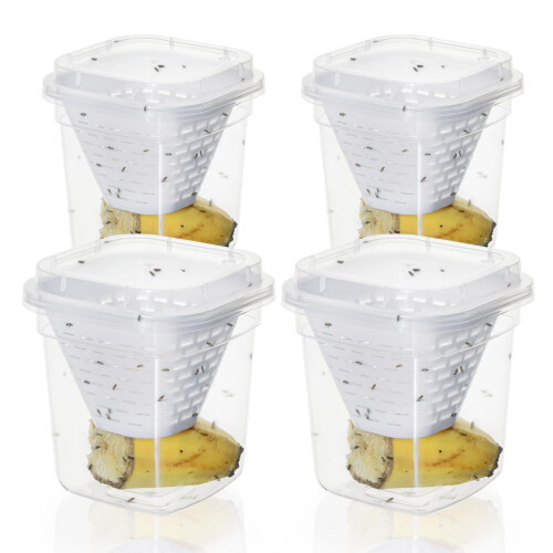Plai 4 Pack Fruit Fly Trap Effective No Baited Indoor Catcher Reusable