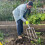 Spear & Jackson Spear Jackson 4550DF Traditional Stainless Steel Digging Fork 5