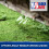 Block Blitz Paving Eco Cleaner Removes and Prevents Algae Moss Black 3