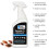 Pest Expert Bed Bug Killer Spray 5Ltr Formula C ' Treatment 5