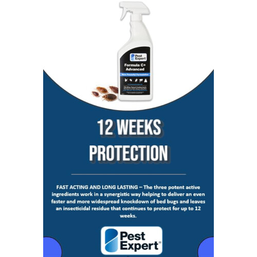 Pest Expert Bed Bug Killer Spray 5Ltr Formula C ' Treatment 2