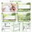 Lfsys 100 Pack Window Fly Trap Fruit Traps for Indoors Paper Sticky 4