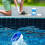 Pool Crab Chlorine Tablets 1kg Multifunctional 4-in1 Dispenser for 2