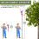 Tree Loppers Long Reach Telescopic 82-402cm Pruner with Extendable 2