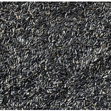 Niger Nyger Seed 5kg High Energy Protein All Year Round Wild Garden