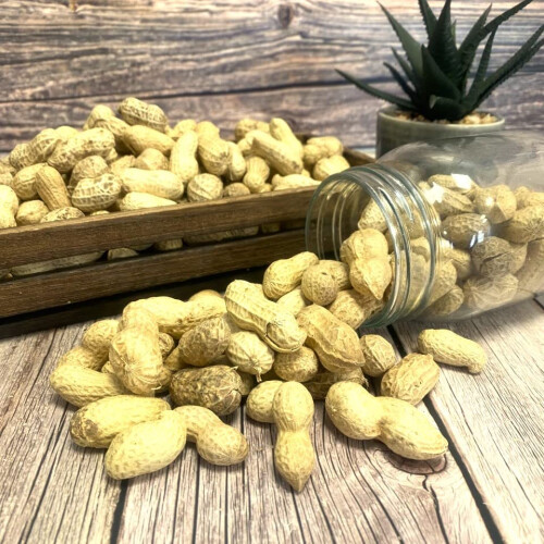 Peanuts in Shells 5kg Premium Safe Wild Bird Food Monkey Nuts 2