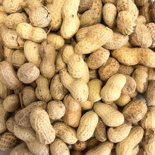 Peanuts in Shells 5kg Premium Safe Wild Bird Food Monkey Nuts 1