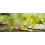 Midori Melon Liquor Fruit Liqueurs 70cl 5