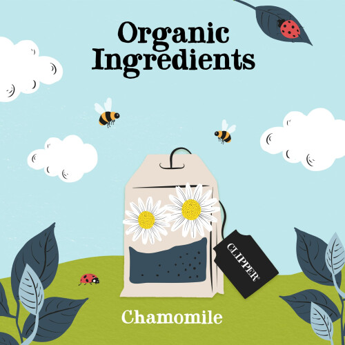 Clipper Organic Sleep Easy Infusion Teabags 6 X 20 2