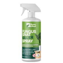 Bloom Bud Fungus Gnat Killer Spray 500ml Fastacting Natural Control
