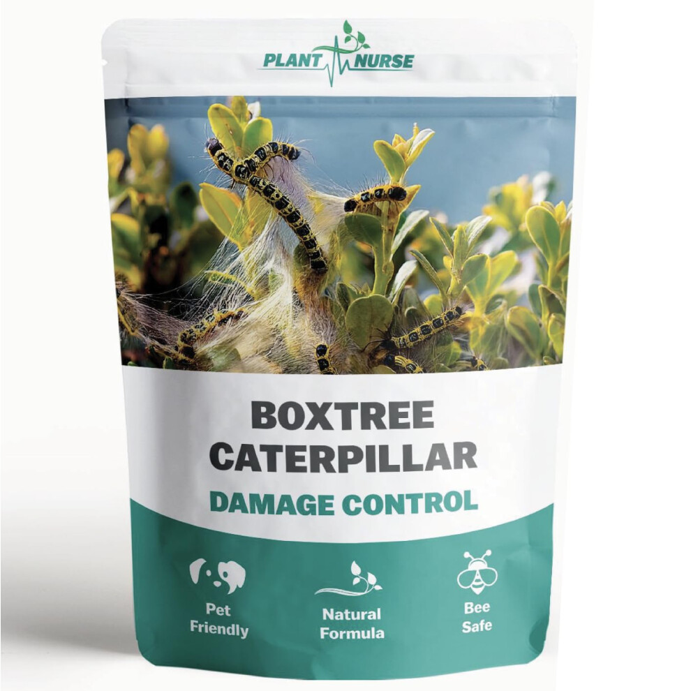Plant Nurse Box Tree Caterpillar Damage Control Prevent Now Safe For