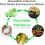 Biodegradable Bin Liners 80 Counts 50L 13Gallon Large Garbage Bags 5