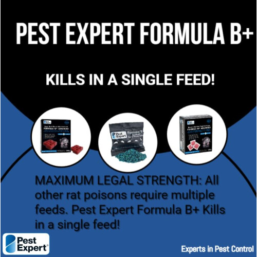 Pest Expert Formula B Advanced Rat Killer Poison Mouse Poisoning 2