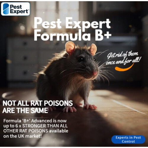 Pest Expert Formula B Advanced Rat Killer Poison Mouse Poisoning 1