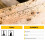 Sika Sikagard Woodworm Killer Eradicates and Protects Against 4