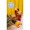 Langs Banana Flavoured Rum 70cl 5