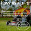 Rapid Seed 1.5kg Quick Growing Grass Hardwearing and Durable Covering 5