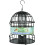 Supa Supa Premium Wild Bird Cage Seed Sunflower Hearts Feeder Deters 1