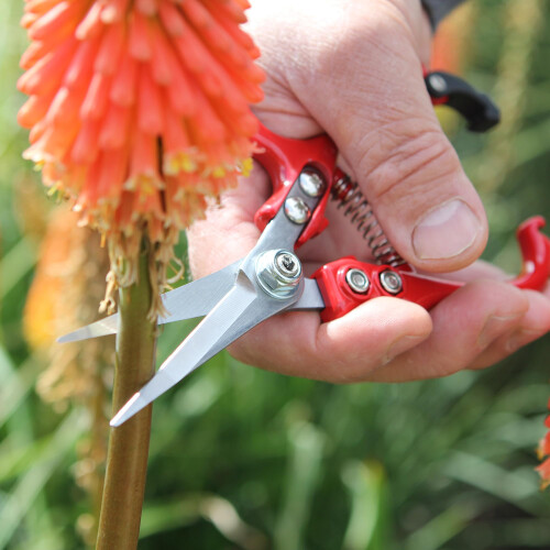 Darlac Ergo Gardening Snips Strong Lightweight Scissors Ideal for 2