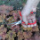 Darlac Ergo Gardening Snips Strong Lightweight Scissors Ideal for 2