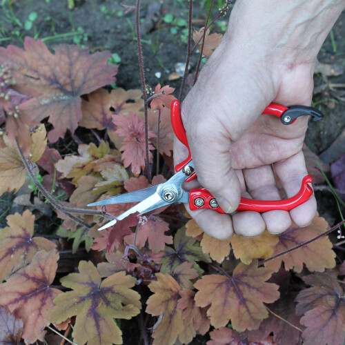 Darlac Ergo Gardening Snips Strong Lightweight Scissors Ideal for 1