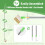 Patio Weed Remover Tool with Long Handle Scraper and Brush Set Combo 6