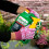 Roundup Roundup 3L Xl Tough and Deep Root Weedkiller 4