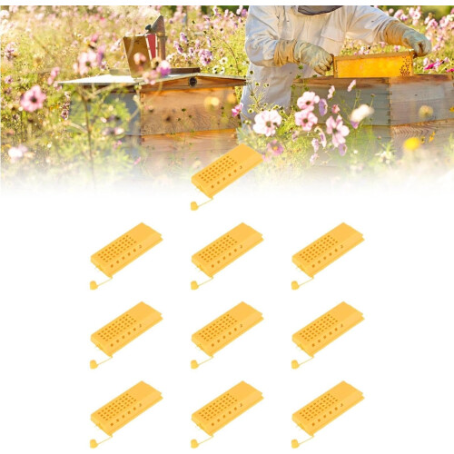 Queen Bee Cages 10-Pack Beekeeping Tool for Easy Use Push-Pull Rearing Boxes High-Performance Apiculture Equipment 1