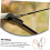 Strong Stable Bowstring for Recurve Archery - Endless Loop Long Hunting Bowstring, Durable Material, 60 Inches 3