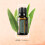 doTERRA doTERRA Eucalyptus Radiata Ätherisches Öl - 15 ml 5