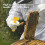 7pcs/set Beekeeping Equipment Beekeeper Tools 12