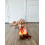 Midlee Campfire Dog Lelu 5