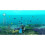 Nintendo Endless Ocean: Blue World     Nintendo Wii (erneuert) 5