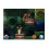 Nintendo Hej! PIKMIN  Nintendo 3DS 3