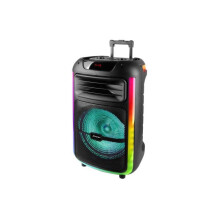 ALTAVOCE KAROKE TREVI XF 1400 KB 100W AMPLIFICATORE SPKR+AW+TROLLEY