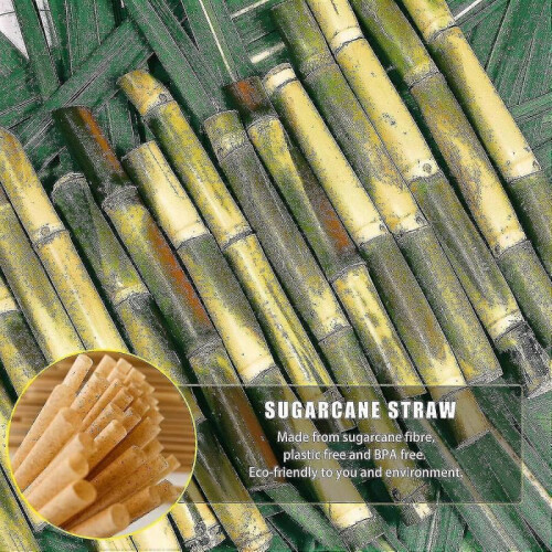 200pcs Sugarcane Straws 8 Inch Compostable Straws Biodegradable Eco-friendly Drinking Straws 1
