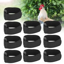 10 Stück Schwarze Anti-Hook Halsband Hühnerrand Geräuschschutz Verstellbar
