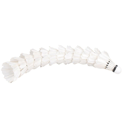 New 12 Pcs White Badminton Ball Shuttlecocks Sport 2