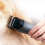Vacuum Pet Grooming Kit for 2